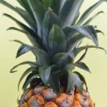 探索恩佐娱乐注册的独特魅力与优惠活动 hh013