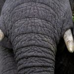 探索未来娱乐平台的创新趋势与发展方向 ojkob