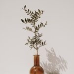 探索最佳真钱游戏推荐,畅享刺激与乐趣的完美结合 xuf4j6jj